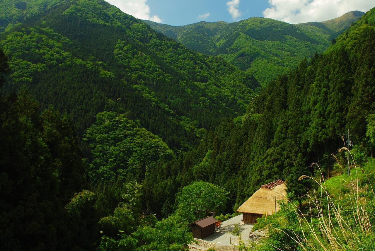 Tougenkyo Iya No Yamazato Wakabayashi Exterior foto